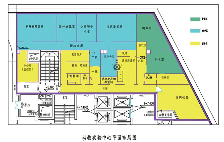 動物實驗室設計布局圖